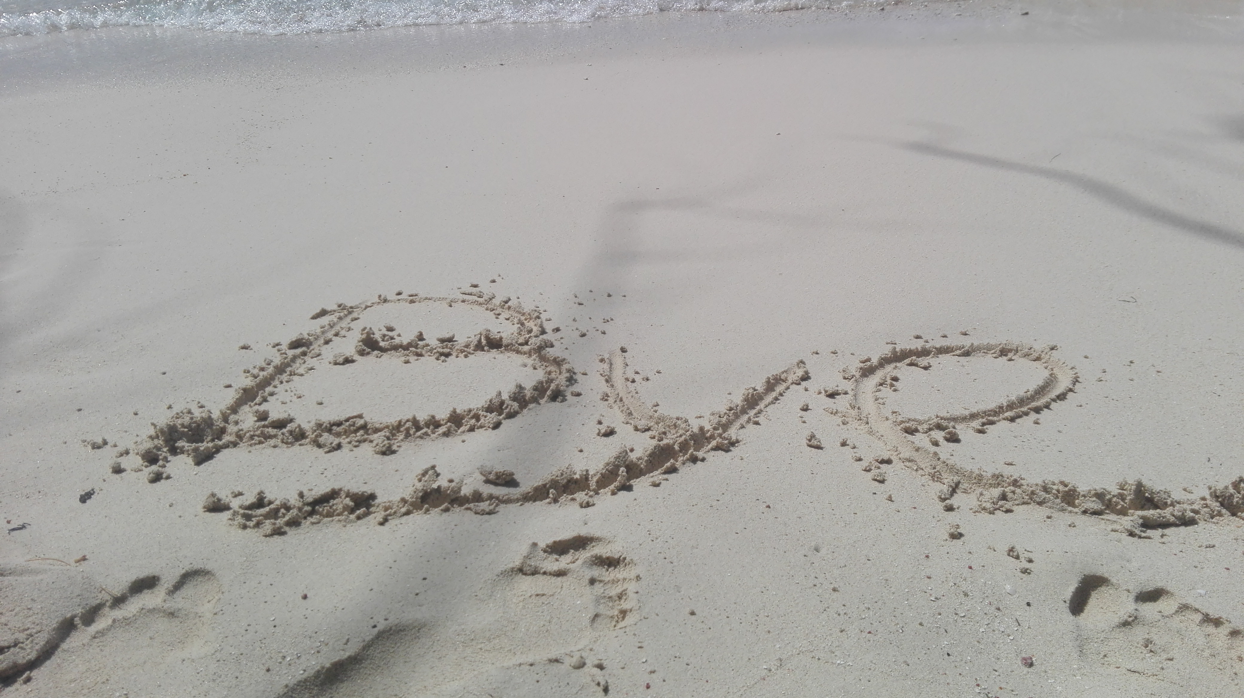 IMG_20180210_123352-1